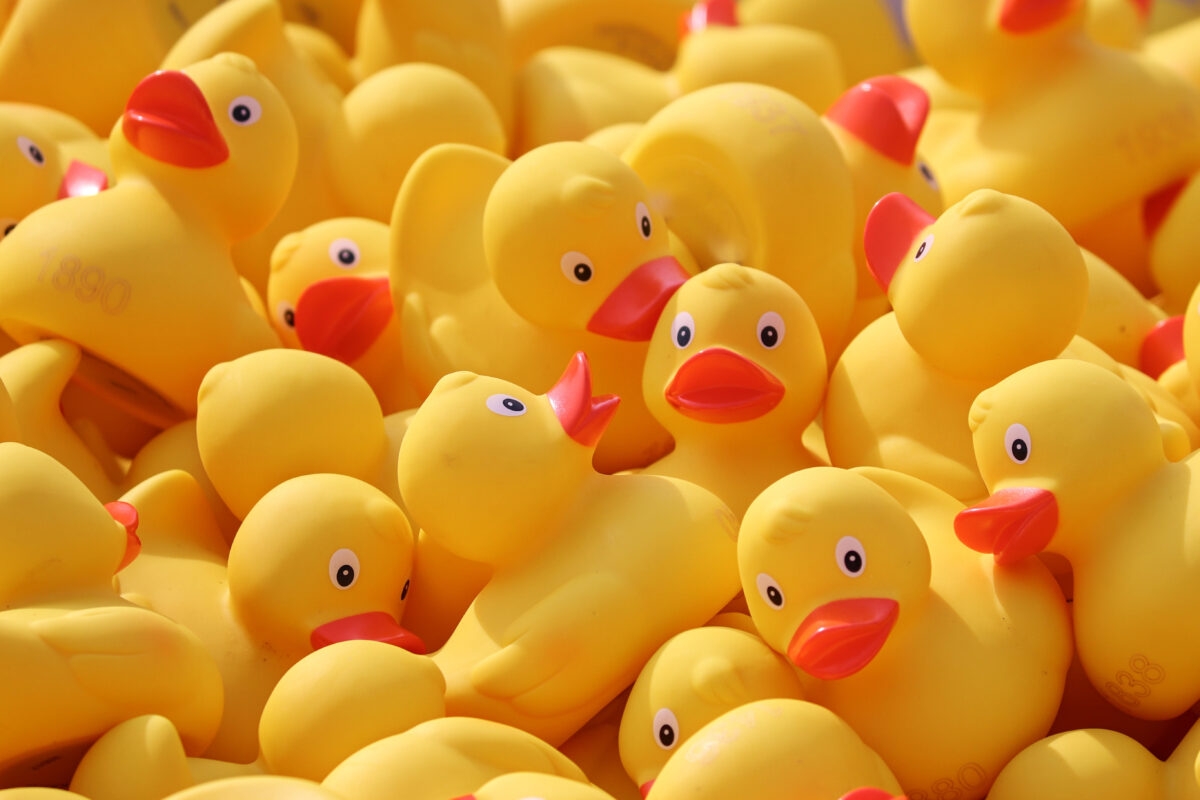 Duck,Toys,For,The,Little,Ones